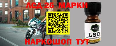 стаф Дубна