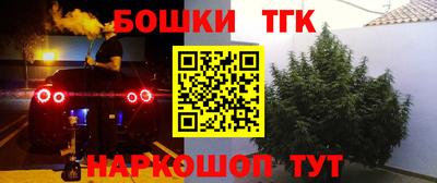 гашик Донецк