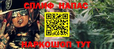 стаф Дубна