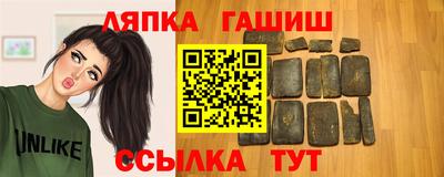стаф Дубна