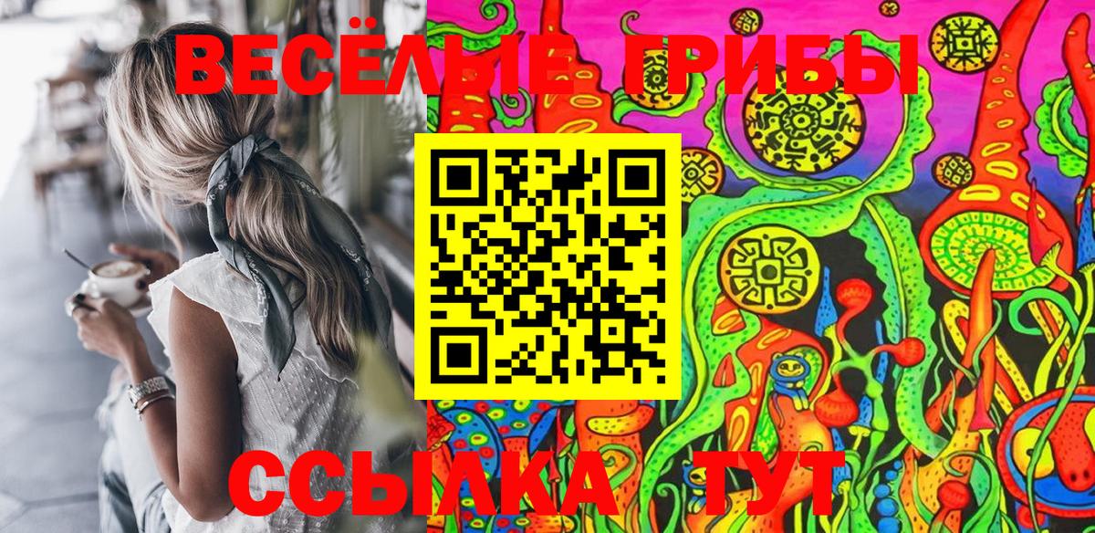 Псилоцибиновые грибы Cubensis Минусинск